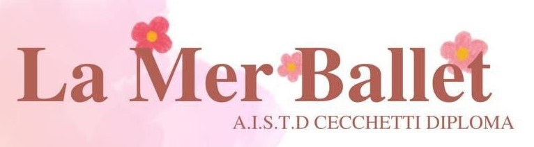 Rugby tots Somerset West